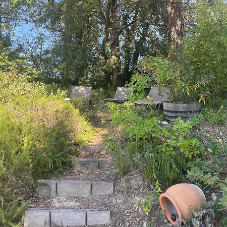Lovely In Buisson With Private Swimming Pool *